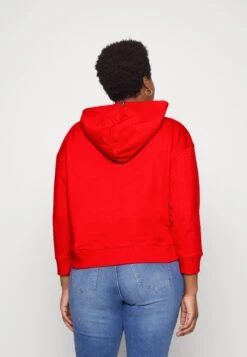 Hoodie - Sudadera - Fireworks -Tienda barata Ulla Popken b25f27c590ed4c01ad84b8f49e45d416