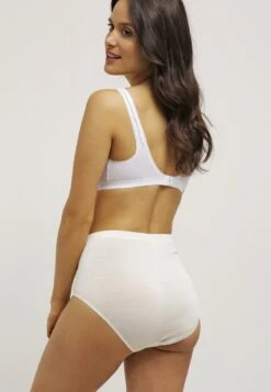 HANRO Woolen Silk- Braguitas - Cygne 9 HANRO Woolen Silk- Braguitas - Cygne -Tienda barata Ulla Popken f3158390d4e74aff84ce32af83b0239d